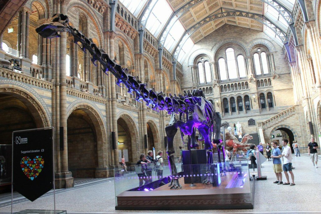 No saguão principal do Museu de História Natural. Foto: Mapa de Londres
