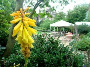Chelsea Physic Garden: Flores por todos os lados