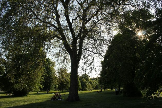Como visitar o Hyde Park em Londres