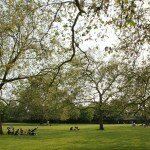 Parque de Primrose Hill: Londres à vista