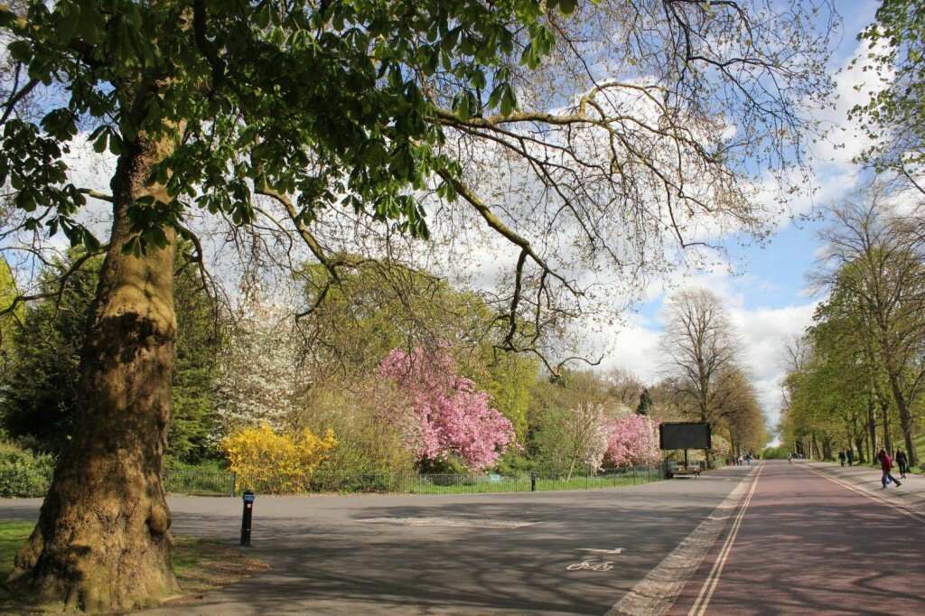 Greenwich Park na primavera 
