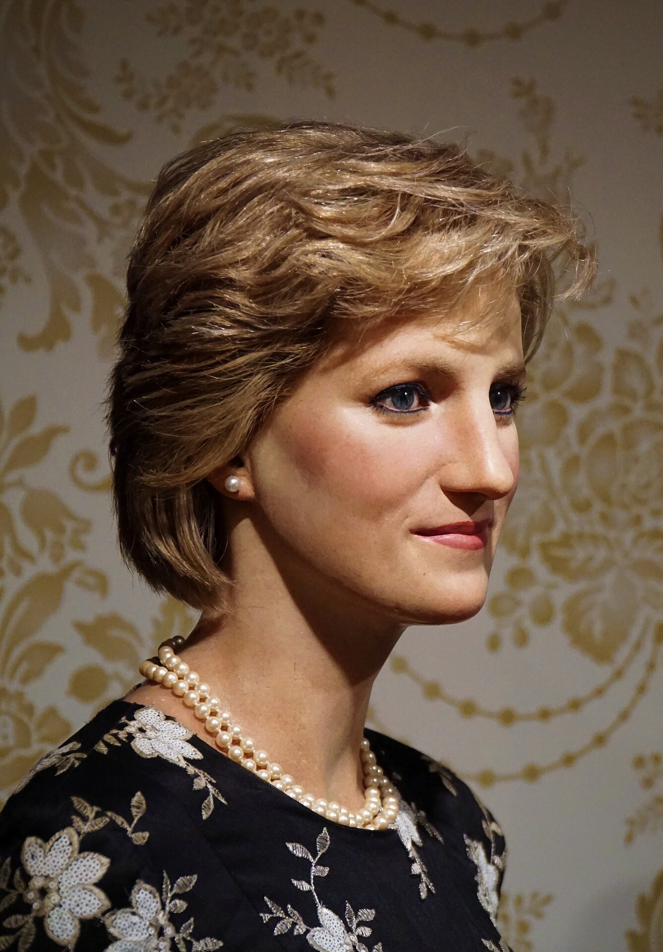 O legado da Princesa Diana, a Lady Di