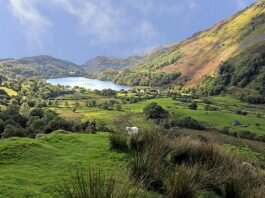 Snowdonia