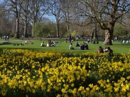 o que fazer em Londres na primavera